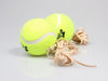 Tennis Trainer Replacement Ball and String